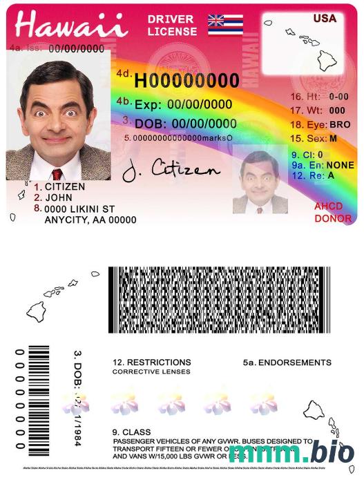 Szablon prawa jazdy na Hawajach w formacie PSD, ze wszystkimi czcionkami